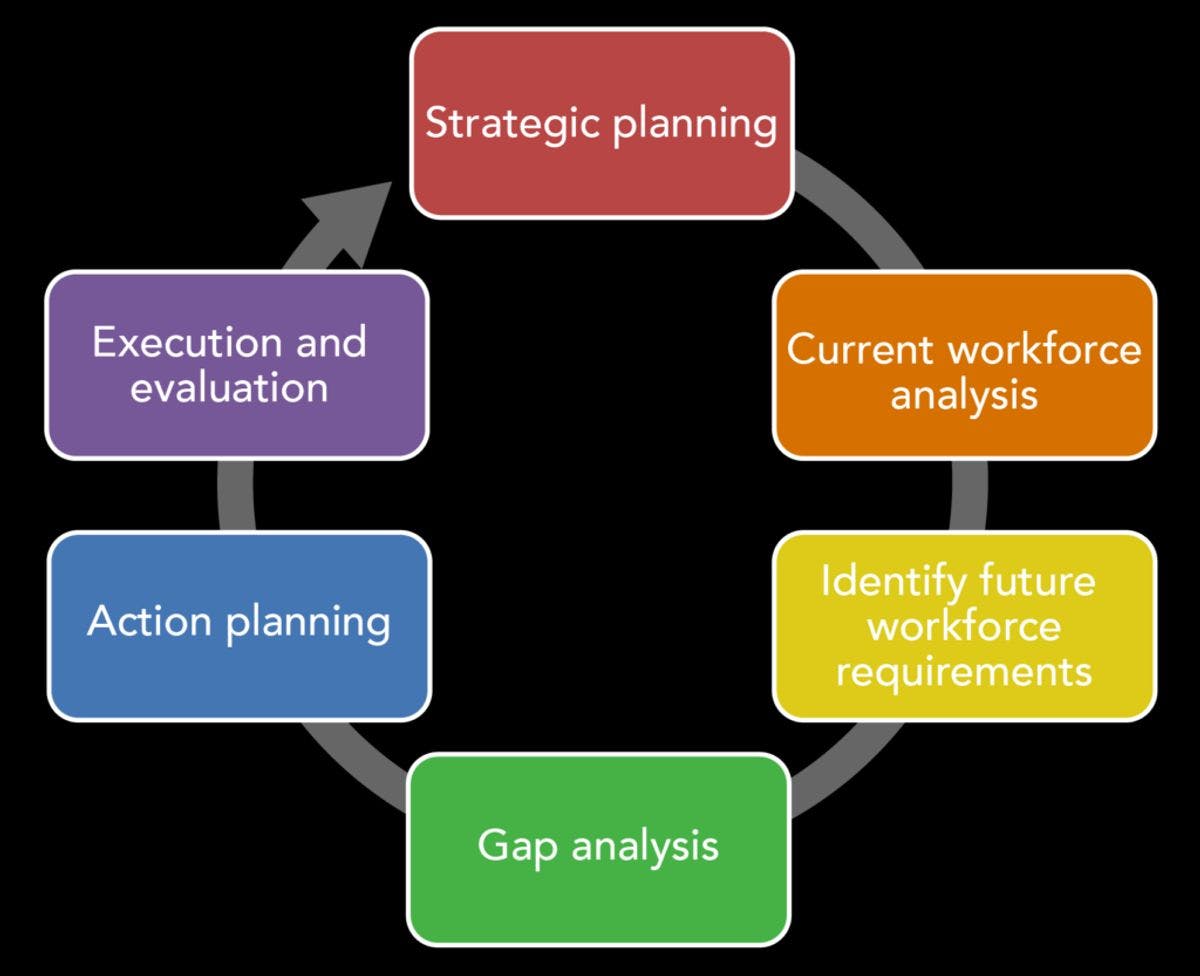 Elevating Your Amazon Business: Integrating Jungle Scout with Your Strategy