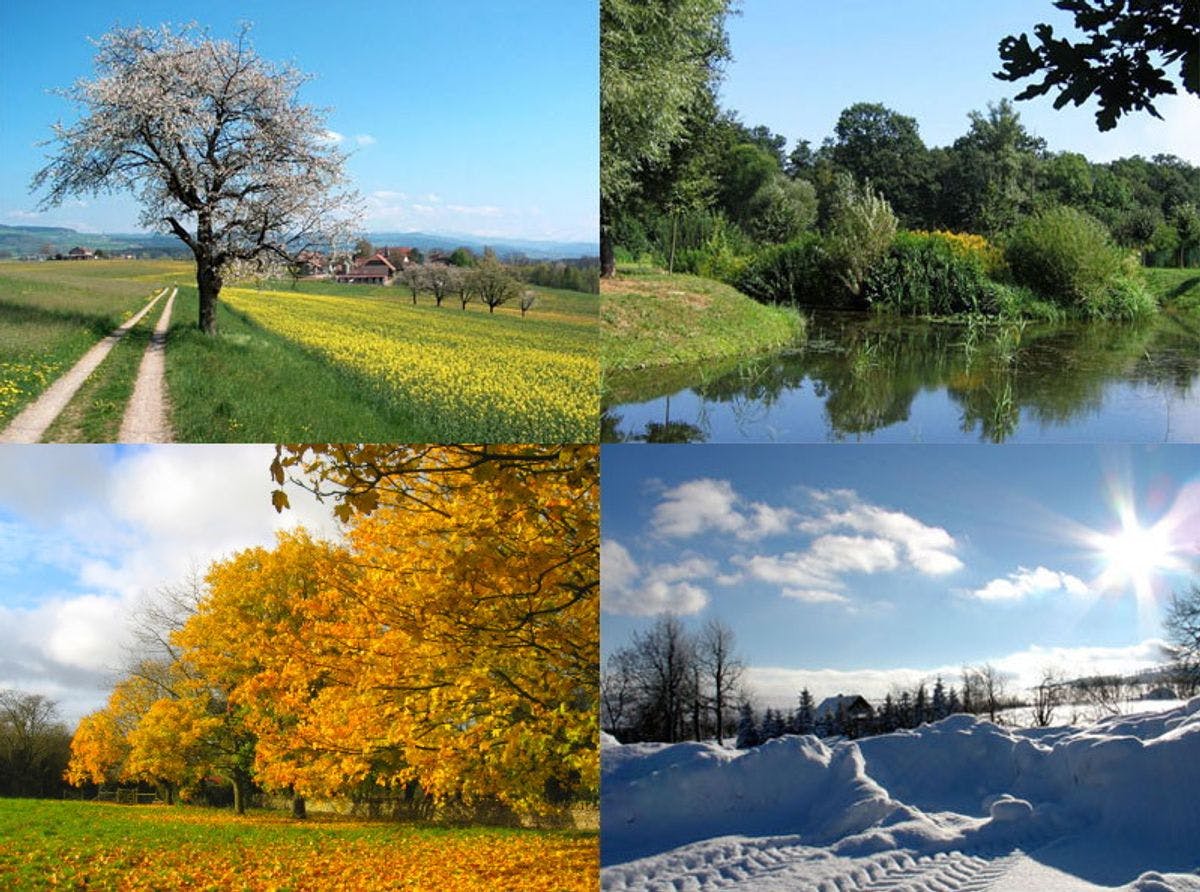 Navigating Seasonal Variations and Policy Changes